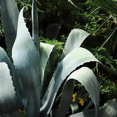 Appartement Casa Ierardi -