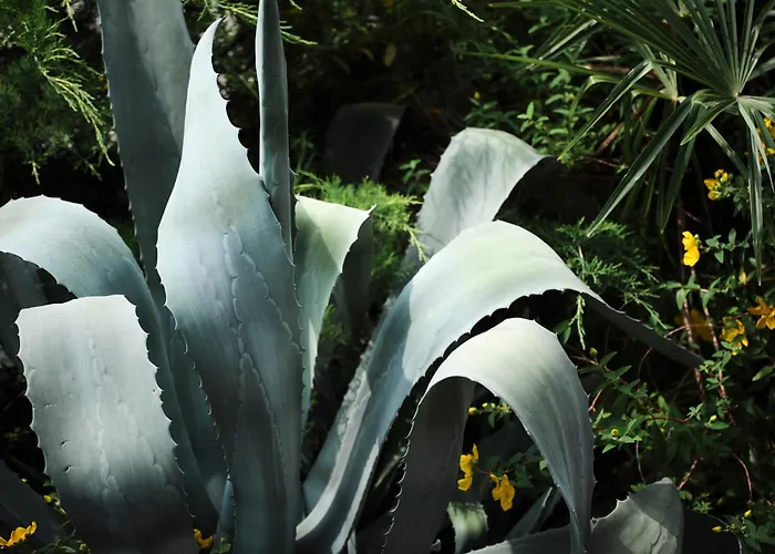 Apartament Casa Ierardi -